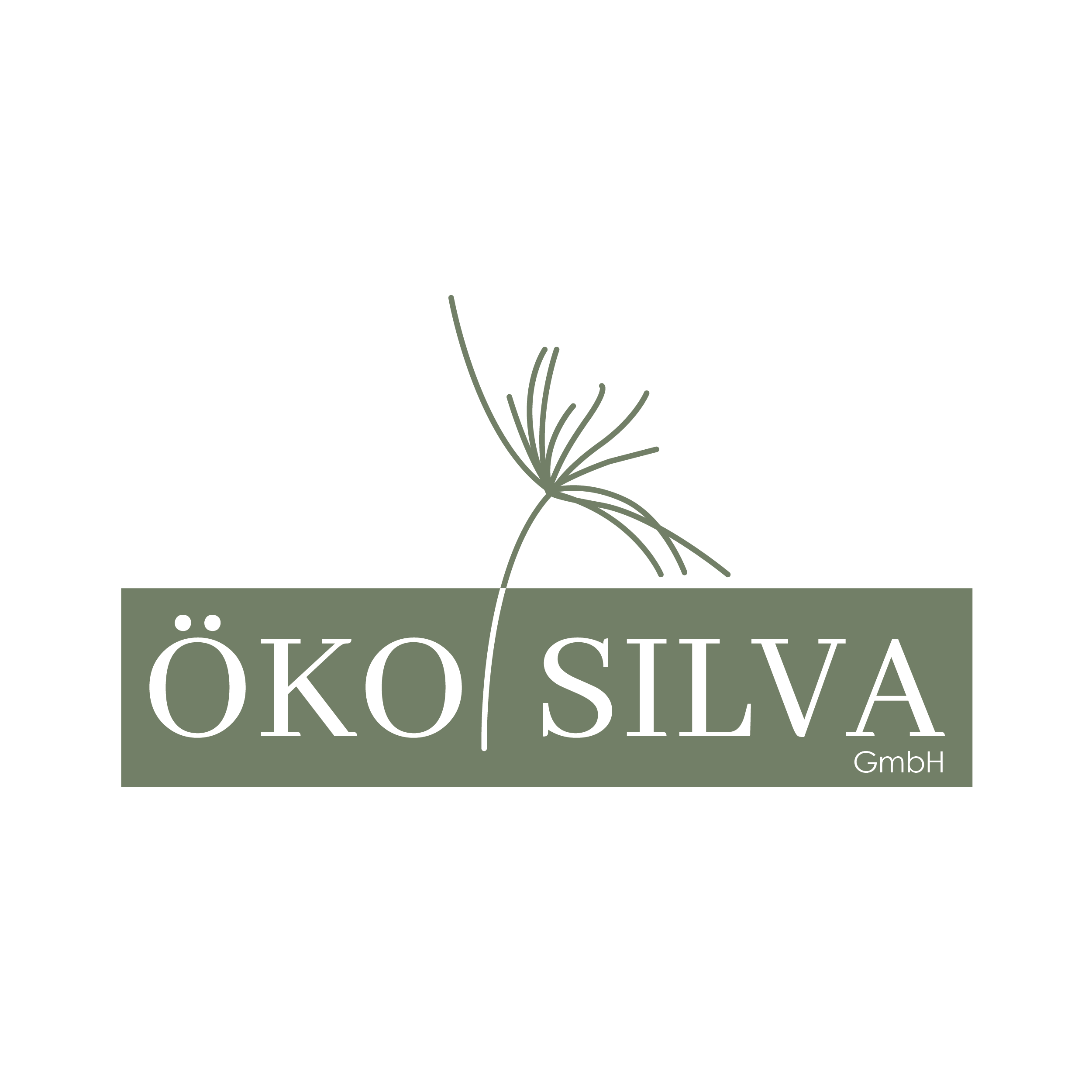 Logo Redesign Öko Silva Final 01