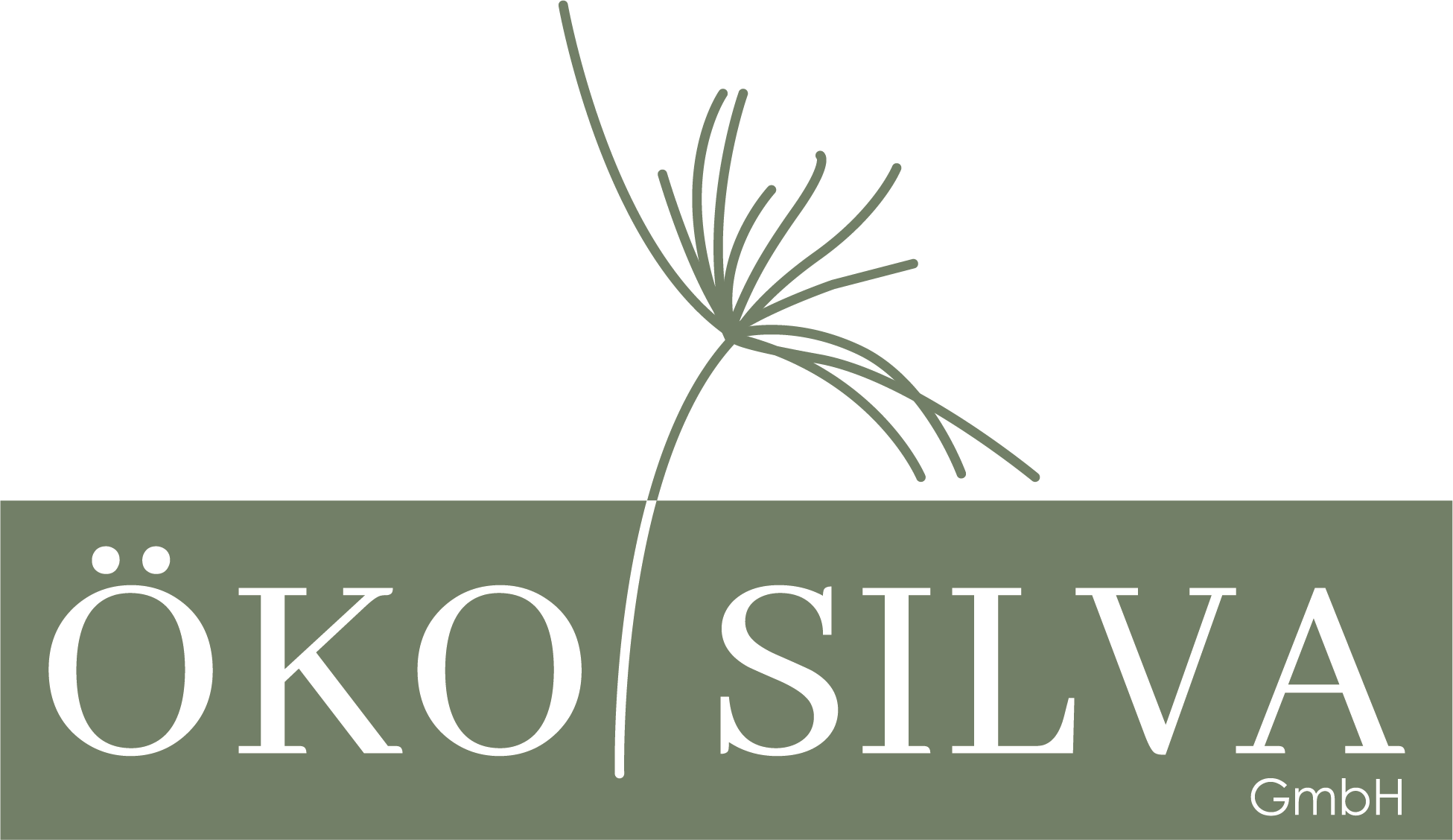 Logo Redesign Öko Silva Final